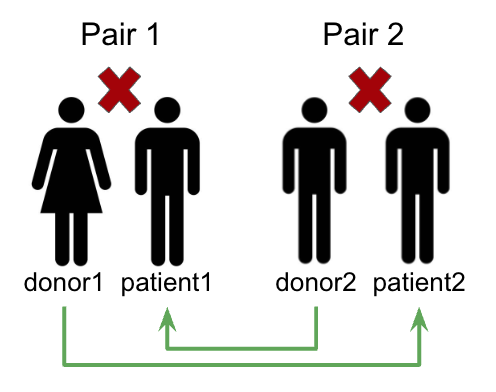 Kidney Exchange Optimization
