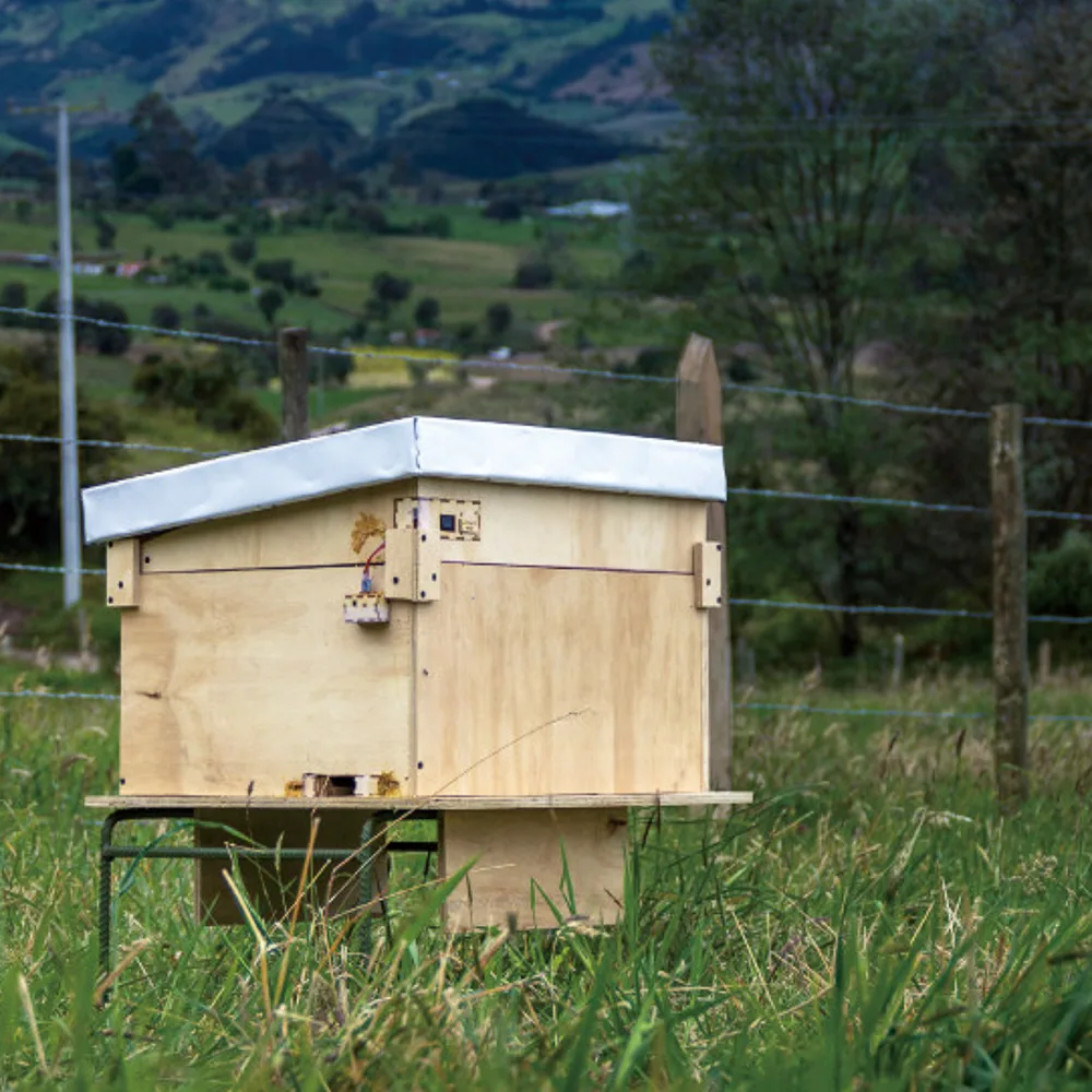 WeeHive